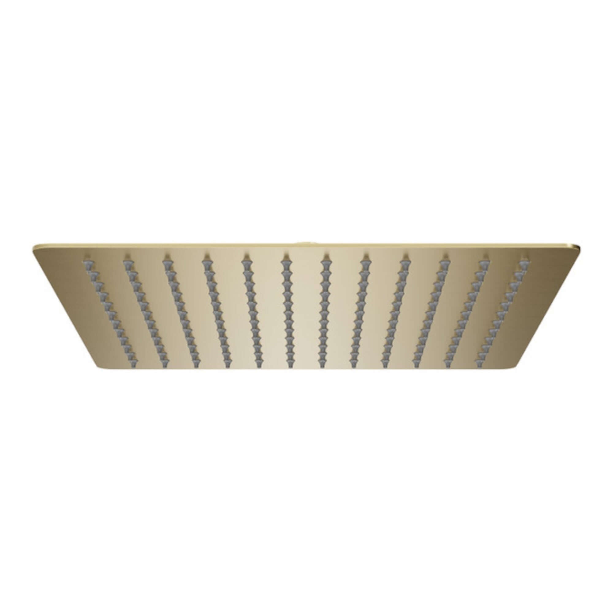 Square ultra slim shower head stainless steel 300mm - brushed brass