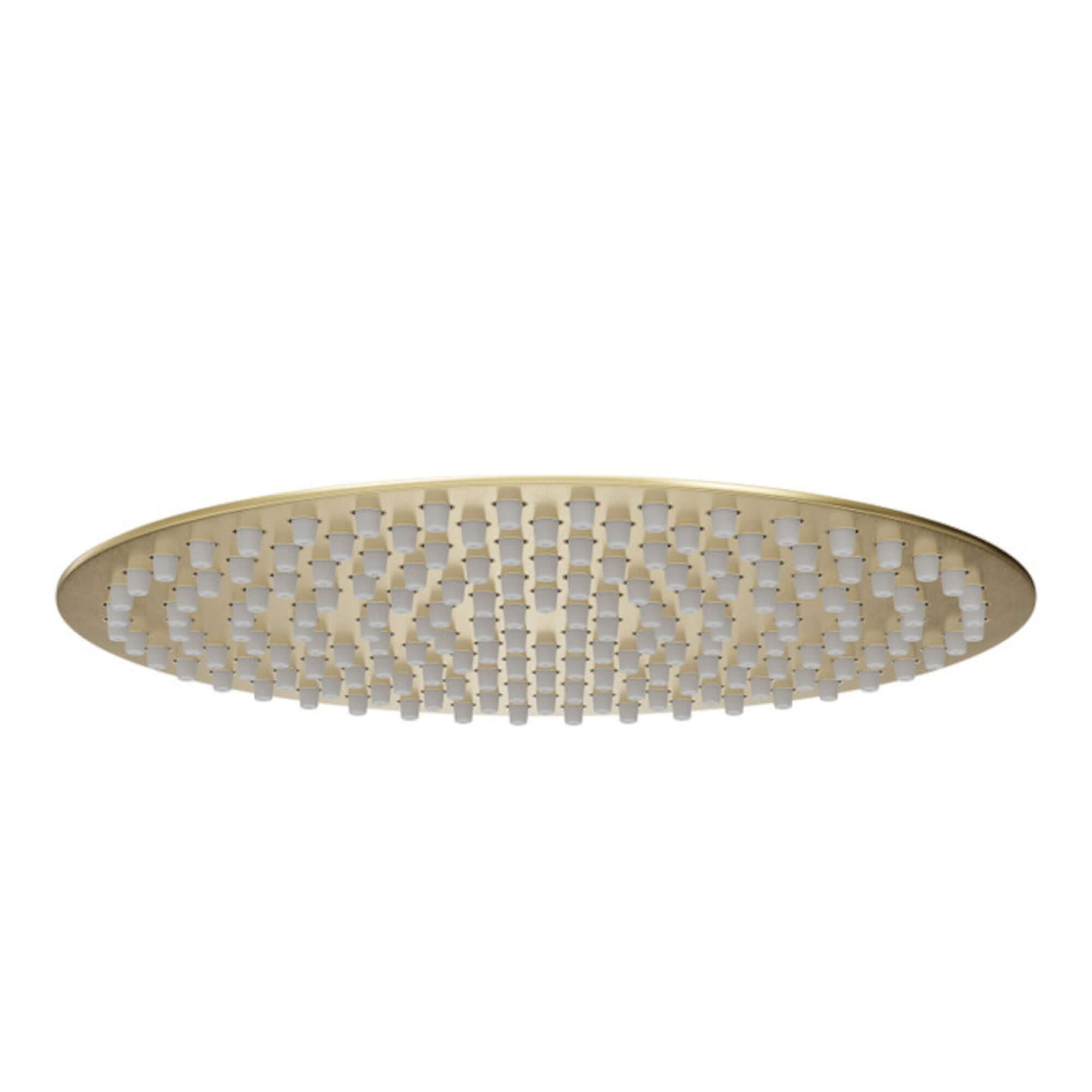 Round ultra slim shower head stainless steel 300mm - brushed brass