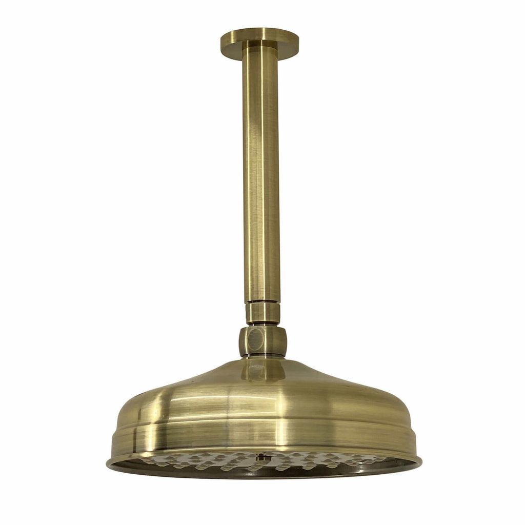 Traditional Ceiling Fixed Apron Brass Shower Head 8" With 180mm Ceiling Shower Arm - Antique Brass