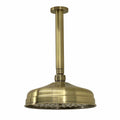 Traditional Ceiling Fixed Apron Brass Shower Head 8" With 180mm Ceiling Shower Arm - Antique Brass