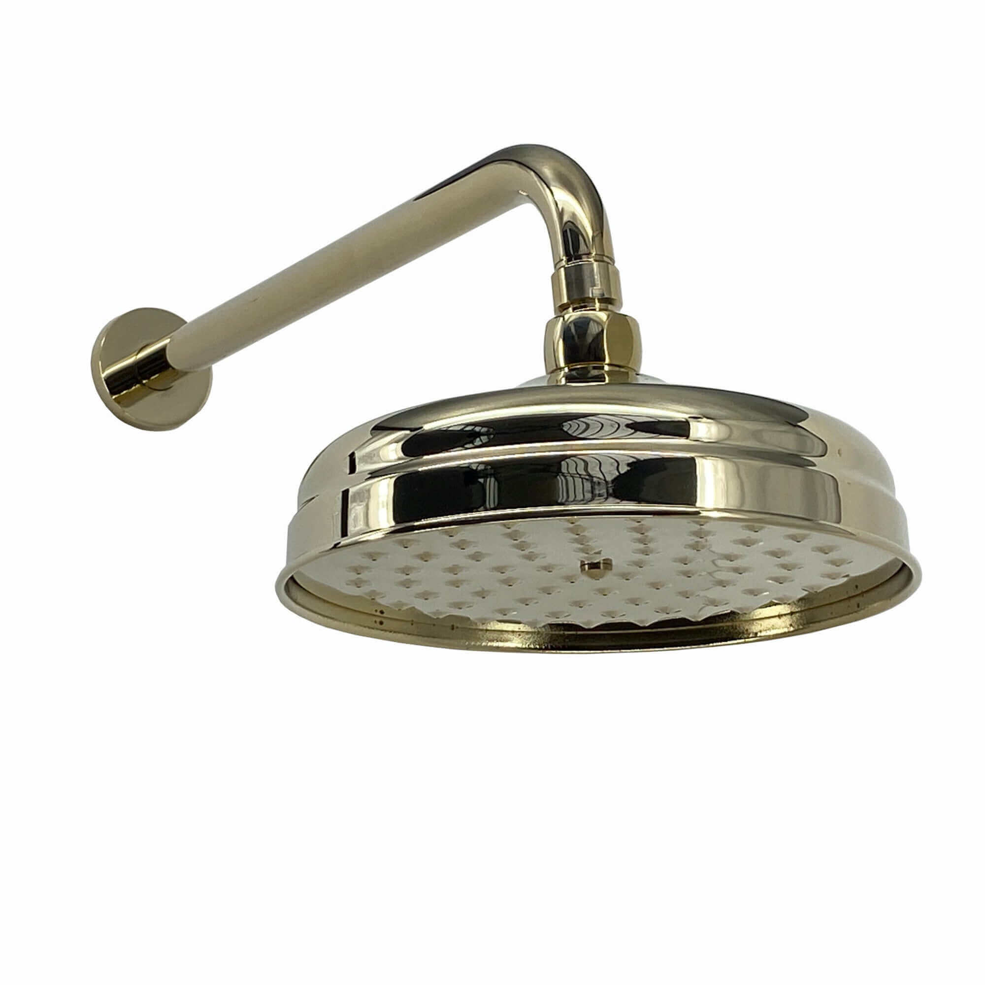 Traditional Wall Fixed Apron Brass Shower Head 8" With Shower Arm - Gold