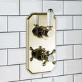 Regent traditional crosshead and white lever concealed thermostatic twin shower valve with 1 outlet - gold